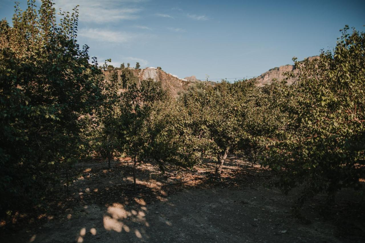 Vivelorural Tunte 4 Great Pool & Bbq Βίλα San Bartolomé Εξωτερικό φωτογραφία